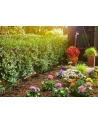 Gardena Micro-Drip-System Pflanzenreihe S zestaw startowy (13010) - nr 8