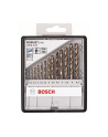 Bosch RobustLine HSS-Co-Metallb.Set13pcs - 2607019926 - nr 2