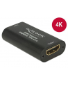 Delock Reapeter HDMI 4K 60 Hz - nr 10