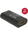 Delock Reapeter HDMI 4K 60 Hz - nr 22