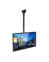 Uchwyt sufitowy LCD/LED 23-42cale 50kg regulowany, czarny - nr 28