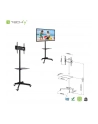 Stojak mobilny LCD/LED 23-55cali regulowany z półką, czarny - nr 22