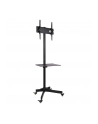 Stojak mobilny LCD/LED 23-55cali regulowany z półką, czarny - nr 29
