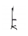 Stojak mobilny LCD/LED 23-55cali regulowany z półką, czarny - nr 30