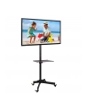 Stojak mobilny LCD/LED 23-55cali regulowany z półką, czarny - nr 35