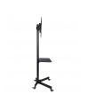 Stojak mobilny LCD/LED 23-55cali regulowany z półką, czarny - nr 44