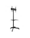 Stojak mobilny LCD/LED 23-55cali regulowany z półką, czarny - nr 53