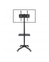 Stojak mobilny LCD/LED 23-55cali regulowany z półką, czarny - nr 8