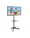 Stojak mobilny LCD/LED 23-55cali regulowany z półką, czarny - nr 6