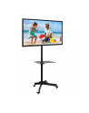 Stojak mobilny LCD/LED 23-55cali regulowany z półką, czarny - nr 9