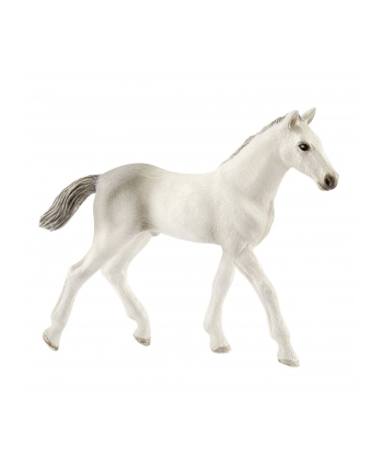 schleich SLH 13860 Źrebię rasy holsztyńskiej nr 1