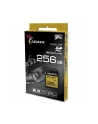 adata SD Premier ONE 256G UHS 2/U3/CL10 275/155MB/s - nr 10