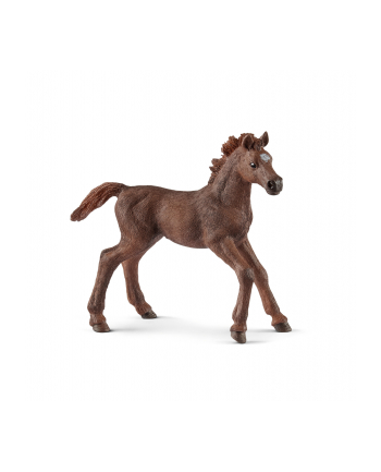 schleich SLH 13857 Źrebię pełnej krwi angielskiej