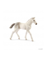 schleich SLH 13860 Źrebię rasy holsztyńskiej - nr 1