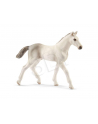 schleich SLH 13860 Źrebię rasy holsztyńskiej - nr 2