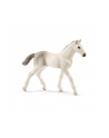 schleich SLH 13860 Źrebię rasy holsztyńskiej - nr 5