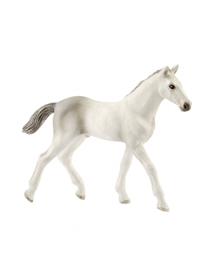 schleich SLH 13860 Źrebię rasy holsztyńskiej główny