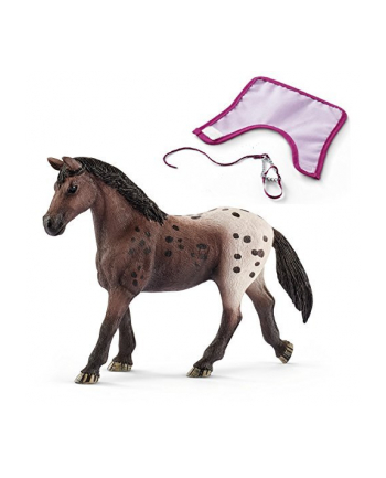 schleich SLH 13861 Klacz rasy Appaloosa