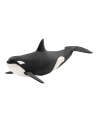 schleich SLH 14807 Orka oceaniczna - nr 10