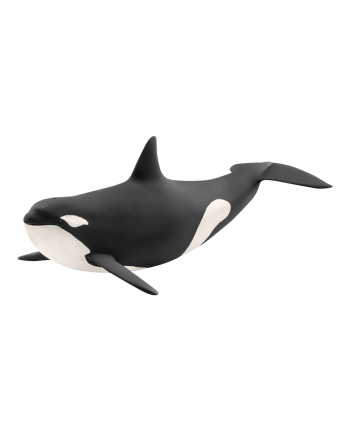 schleich SLH 14807 Orka oceaniczna nr 2