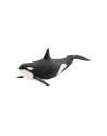 schleich SLH 14807 Orka oceaniczna - nr 8