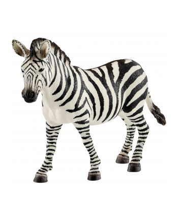 schleich SLH 14810 Zebra samica