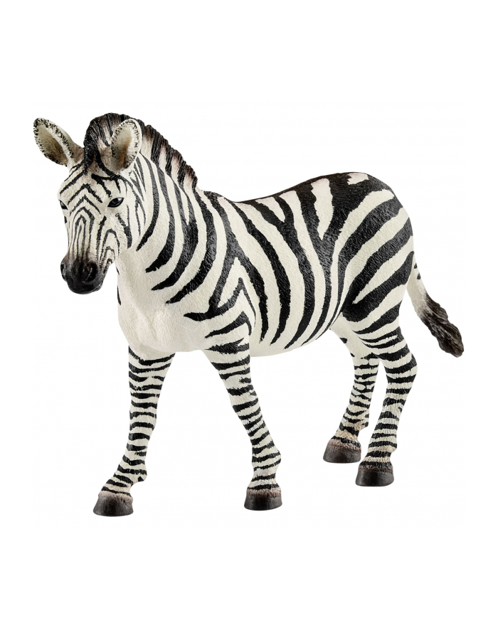 schleich SLH 14810 Zebra samica główny