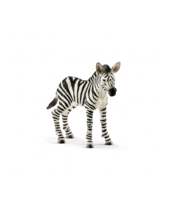 schleich SLH 14811 Zebra źrebię