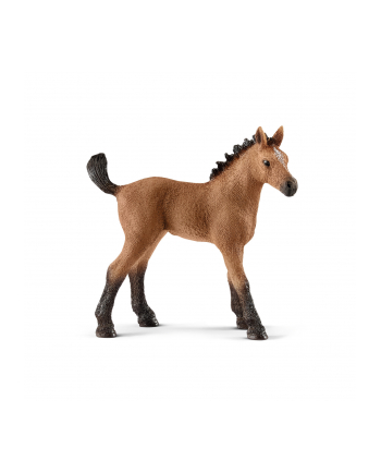 schleich SLH 13854 Źrebię rasy Quarter