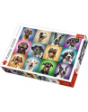 Puzzle 1000el - Zabawne psie portrety 10462 TREFL - nr 1