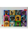 Puzzle 1000el - Zabawne psie portrety 10462 TREFL - nr 2