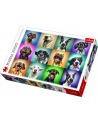 Puzzle 1000el - Zabawne psie portrety 10462 TREFL - nr 4