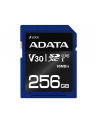 ADATA karta pamięci Premier Pro SDXC UHS-I U3 Class 10 256GB (R95/W60) retail - nr 1