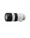 Sony SEL-70200 E70-200mm, F2.8 GM OSS zoom lens - nr 12