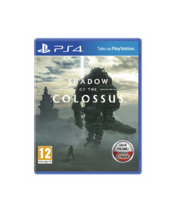 sony Gra PS4 Shadow of the Colossus PL