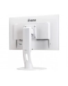 iiyama 24'' XUB2492HSU-W1 IPS,HDMI,DP,USB,BIALY,PIVOT. - nr 115