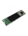 Dysk SSD Silicon Power A55 128GB M.2 2280 SATA3 (560/530 MB/s) - nr 20