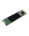 Dysk SSD Silicon Power A55 128GB M.2 2280 SATA3 (560/530 MB/s) - nr 17