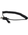 Kabel USB/iPhone Gembird USB A(M) - Lightning 8-pin (Ipad Air, Iphone 5/6) 1,5m czarny - nr 17