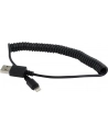 Kabel USB/iPhone Gembird USB A(M) - Lightning 8-pin (Ipad Air, Iphone 5/6) 1,5m czarny - nr 19