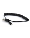 Kabel USB/iPhone Gembird USB A(M) - Lightning 8-pin (Ipad Air, Iphone 5/6) 1,5m czarny - nr 1