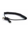 Kabel USB/iPhone Gembird USB A(M) - Lightning 8-pin (Ipad Air, Iphone 5/6) 1,5m czarny - nr 3