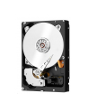 WESTERN DIGITAL Dysk WD WD4003FFBX 4TB Red Pro 7200 SATA III - nr 12