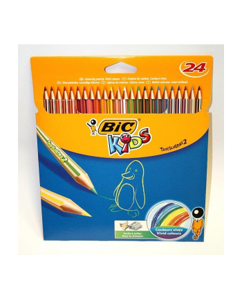 bic Kredki 24kol Conte Tropicolor