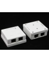 Netrack gniazdo kompletne natynkowe 2xRJ45 8p8c FTP Cat5e LSA - nr 3