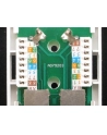 Netrack gniazdo kompletne natynkowe 2xRJ45 8p8c FTP Cat5e LSA - nr 5