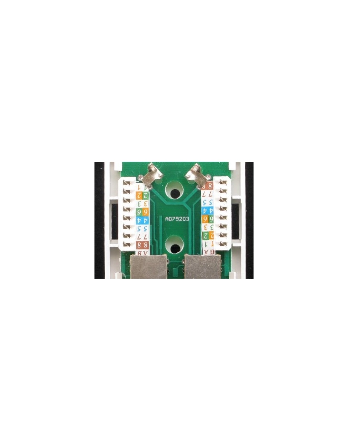 Netrack gniazdo kompletne natynkowe 2xRJ45 8p8c FTP Cat5e LSA główny