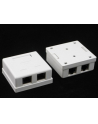 Netrack gniazdo kompletne natynkowe 2xRJ45 8p8c FTP Cat5e LSA - nr 3