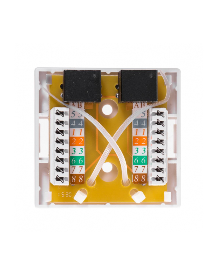 Netrack gniazdo kompletne natynkowe 2xRJ45 8p8c UTP Cat6 LSA główny