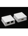 Netrack gniazdo kompletne natynkowe 2xRJ45 8p8c UTP Cat6 LSA - nr 1